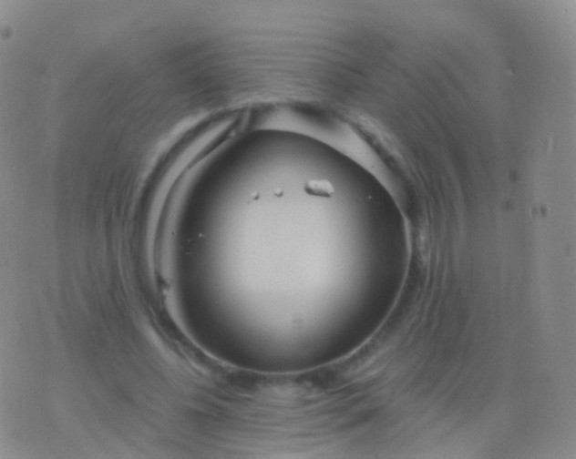 X0000076430540200610202247