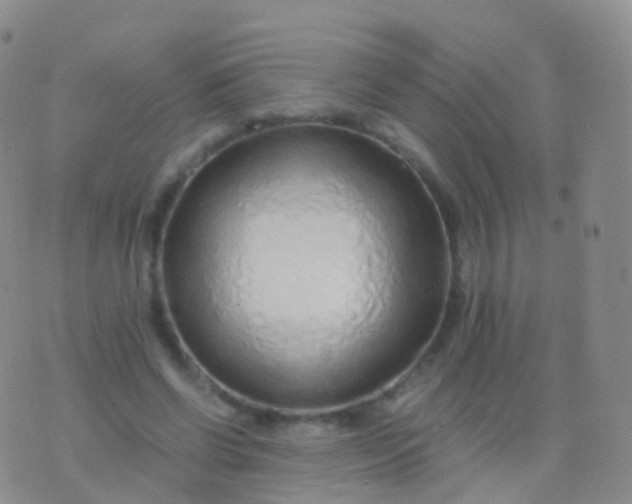 X0000076430542200610202247