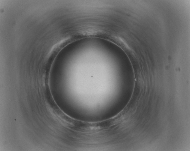 X0000076430543200610202247