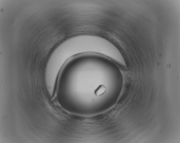 X0000076430546200610202247