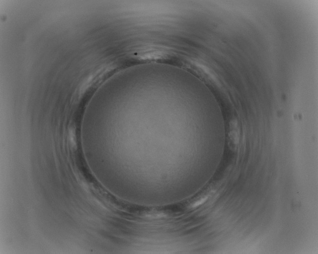 X0000076430547200610202247