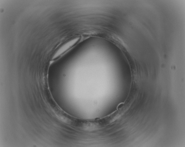 X0000076430549200610202247