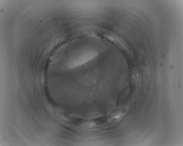 X0000076430551200610202247