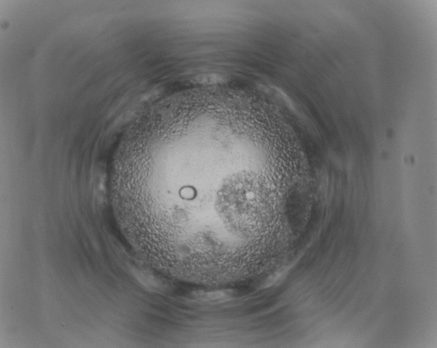 X0000076430553200610202247