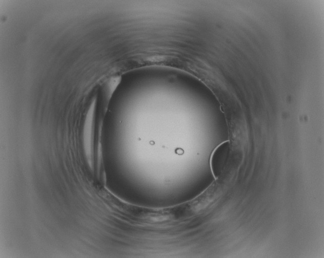 X0000076430555200610202247