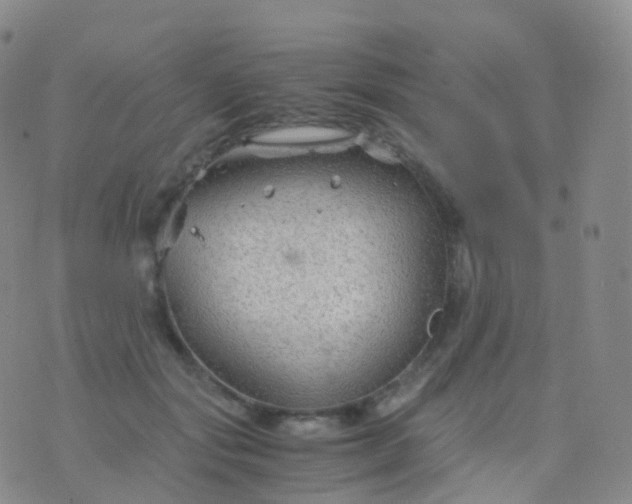 X0000076430557200610202247