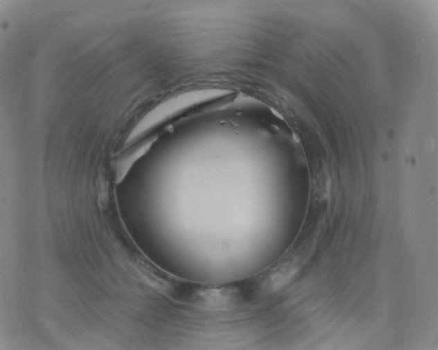 X0000076430558200610202248