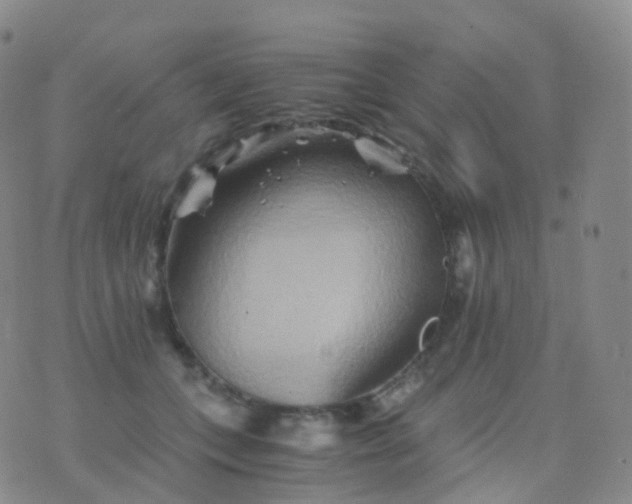 X0000076430559200610202248