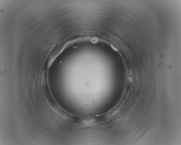 X0000076430560200610202248