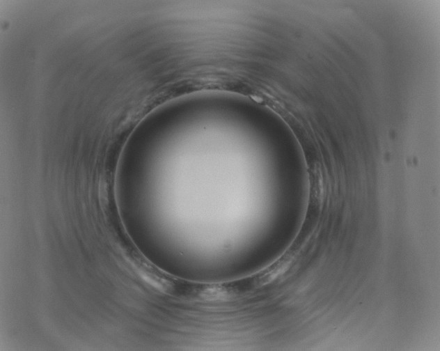 X0000076430562200610202248