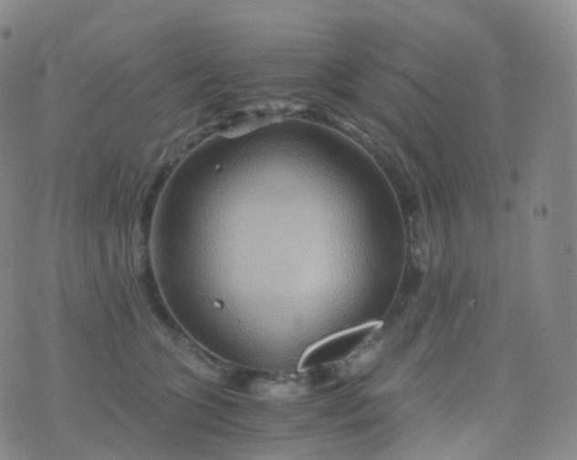 X0000076430563200610202248