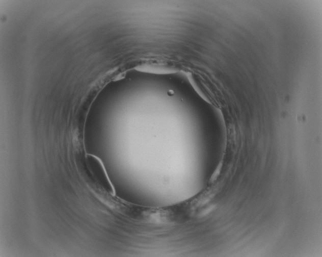 X0000076430564200610202248