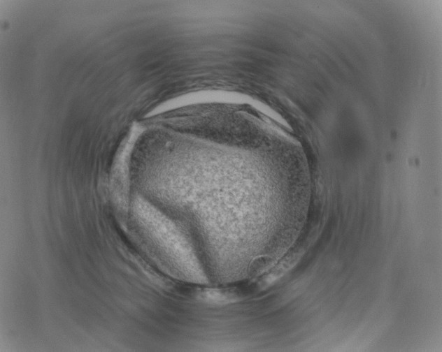 X0000076430565200610202248