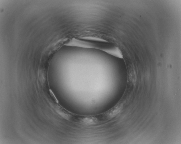 X0000076430566200610202248