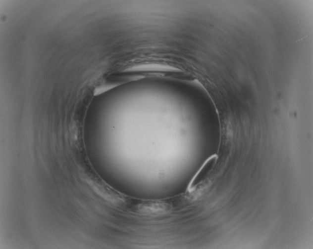 X0000076430567200610202248