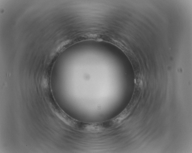 X0000076430568200610202248