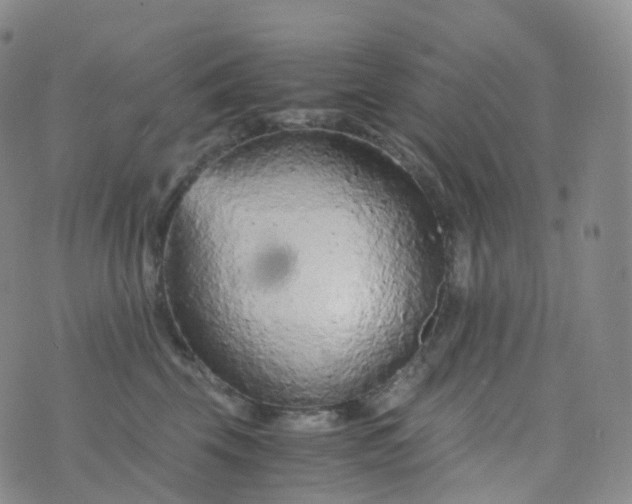 X0000076430569200610202248