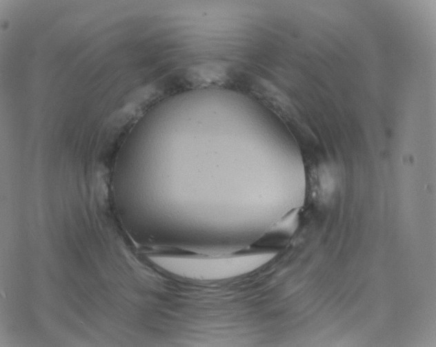 X0000076430570200610202248