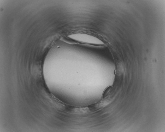 X0000076430571200610202248