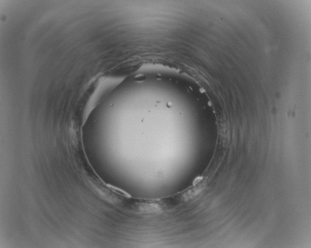 X0000076430572200610202248