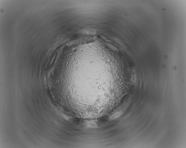 X0000076430573200610202248