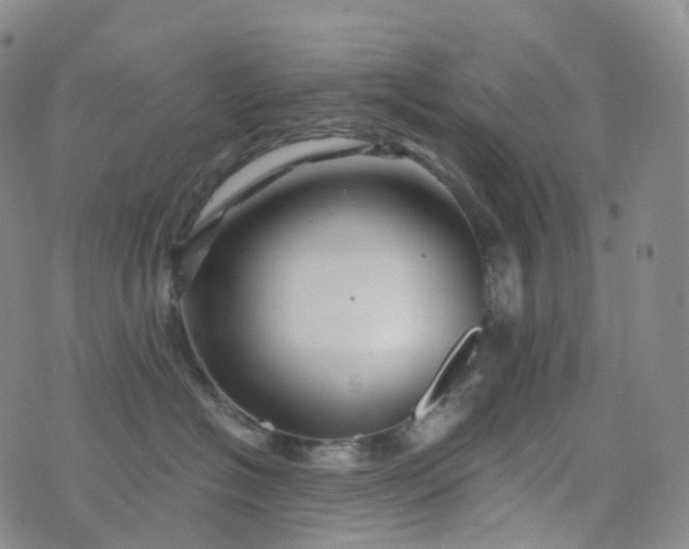 X0000076430574200610202248