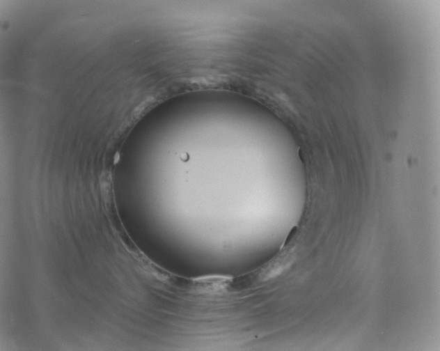 X0000076430576200610202248