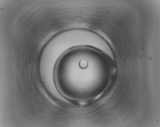 X0000076430581200610202247