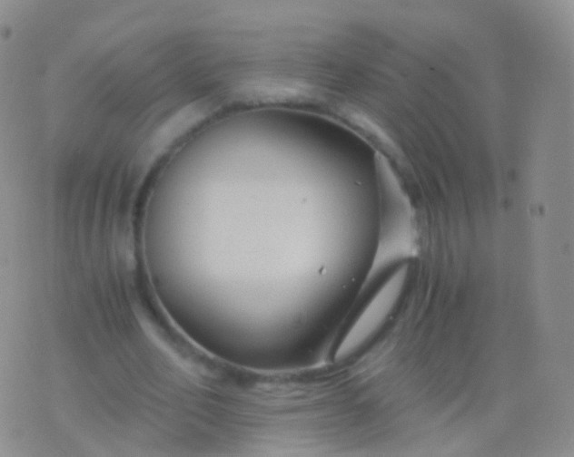 X0000076430582200610202247