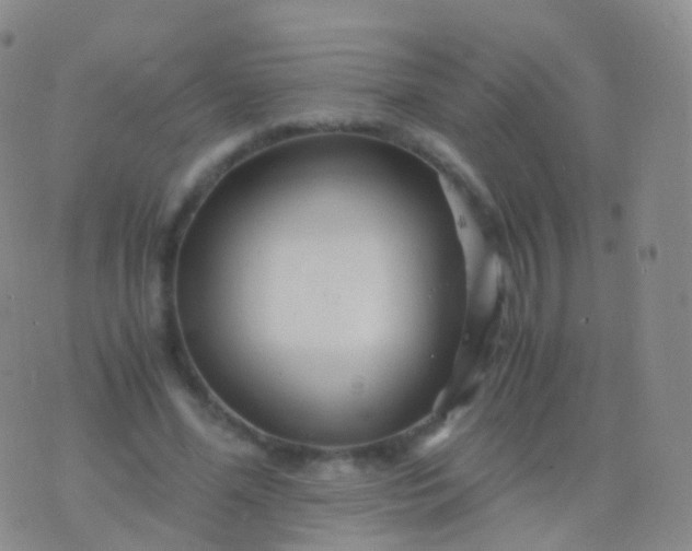 X0000076430588200610202247