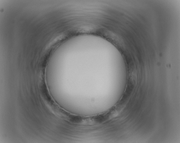 X0000076430591200610202247