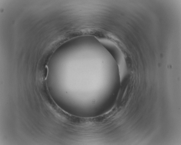 X0000076430593200610202247