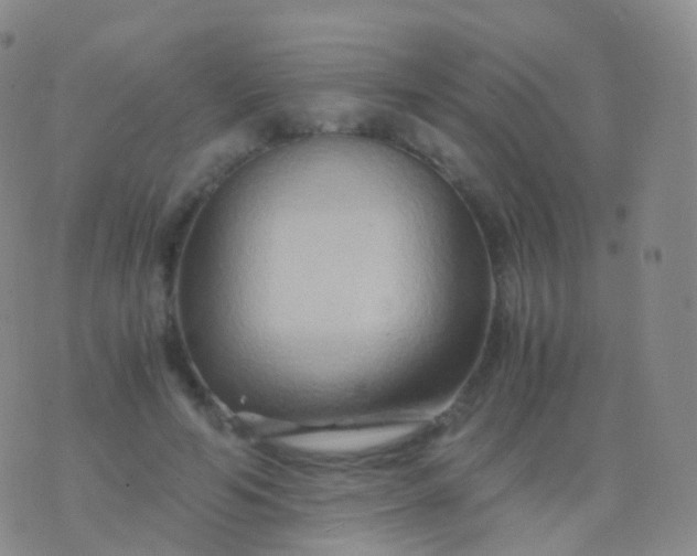 X0000076430594200610202247