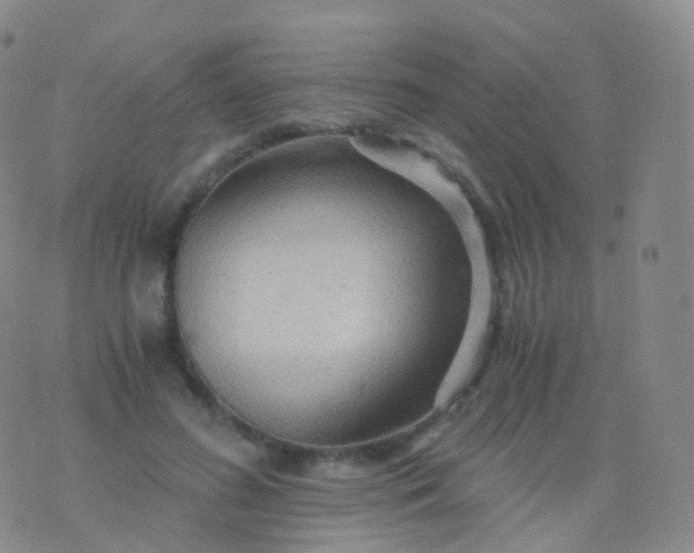 X0000076430596200610202247