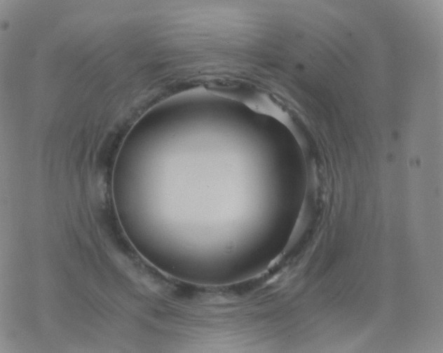 X0000076430597200610202247