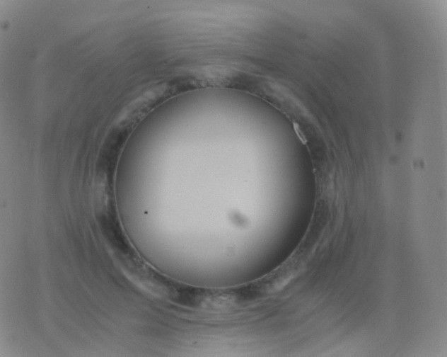 X0000076430599200610202247