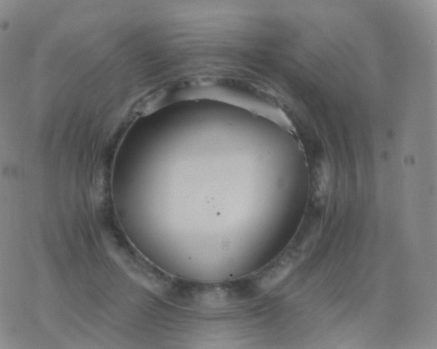 X0000076430600200610202247