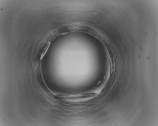 X0000076430601200610202247