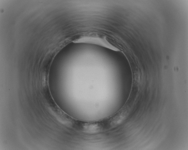 X0000076430602200610202247