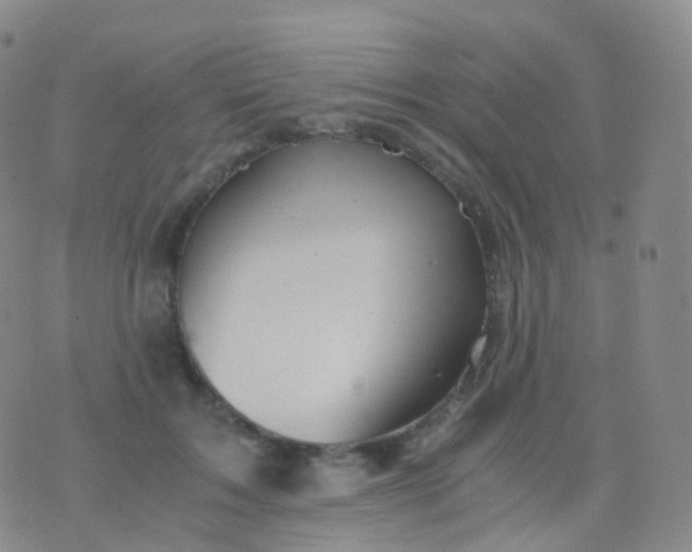 X0000076430603200610202247