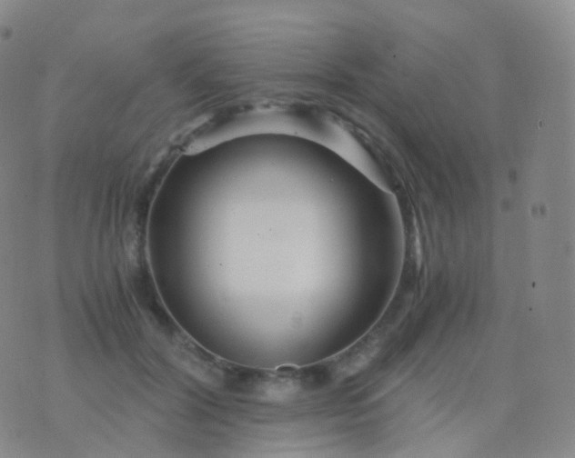 X0000076430604200610202247