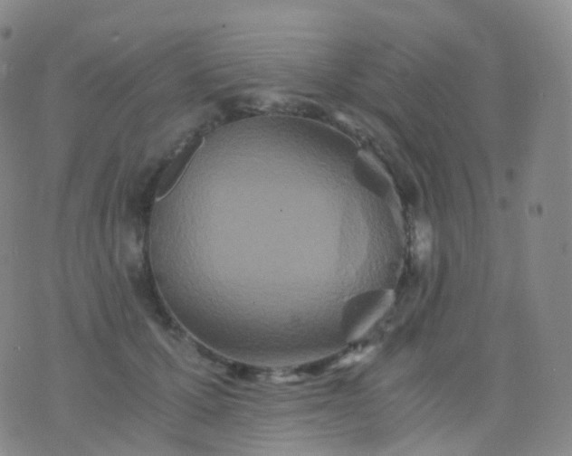 X0000076430607200610202247