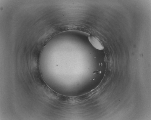 X0000076430608200610202247