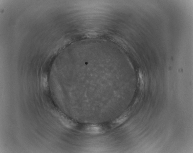 X0000076430610200610202246