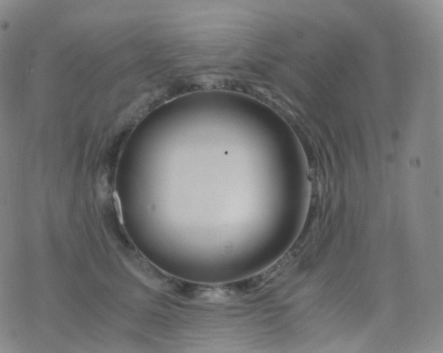 X0000076430611200610202246