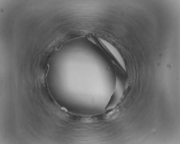 X0000076430613200610202246