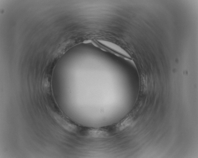 X0000076430614200610202246