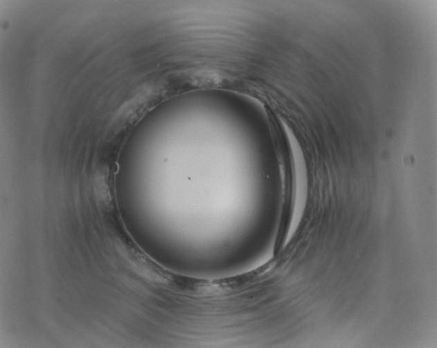 X0000076430616200610202246