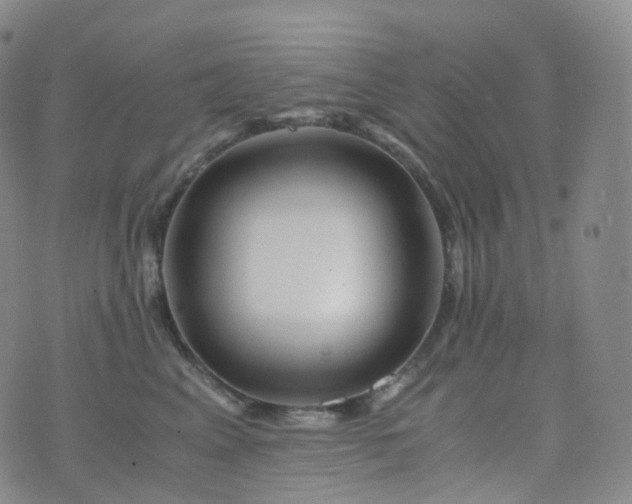 X0000076430617200610202246