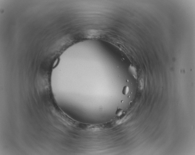 X0000076430620200610202246